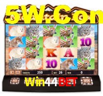 Win44Bet